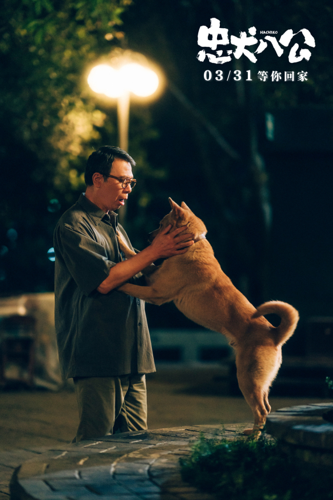 《忠犬八公》开启预售"不舍离别"直指国人陪伴痛点 《忠犬八公》开启预售"不舍离别"直指国人陪伴痛点